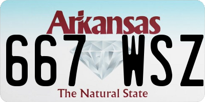 AR license plate 667WSZ