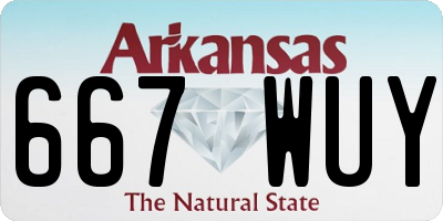 AR license plate 667WUY