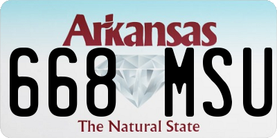 AR license plate 668MSU