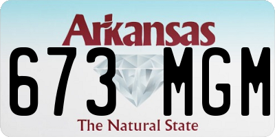 AR license plate 673MGM