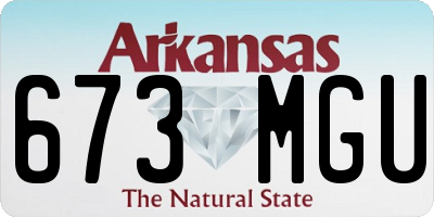 AR license plate 673MGU
