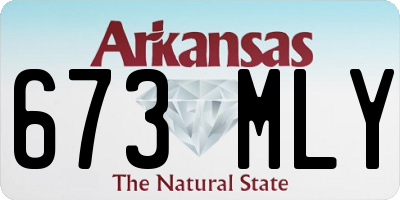 AR license plate 673MLY