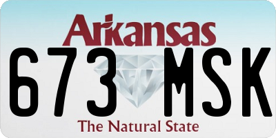 AR license plate 673MSK