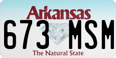 AR license plate 673MSM