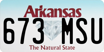 AR license plate 673MSU