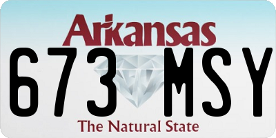 AR license plate 673MSY