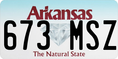 AR license plate 673MSZ