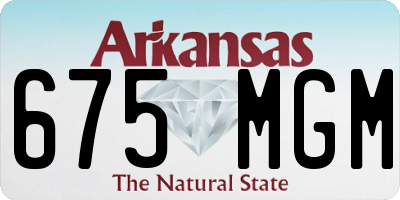 AR license plate 675MGM