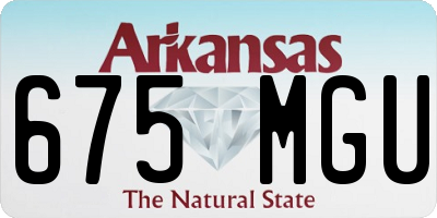 AR license plate 675MGU