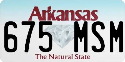 AR license plate 675MSM