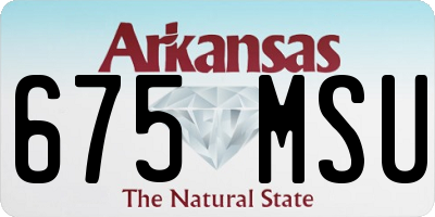 AR license plate 675MSU