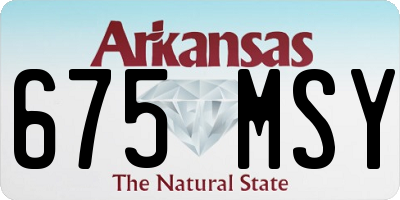 AR license plate 675MSY