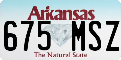 AR license plate 675MSZ