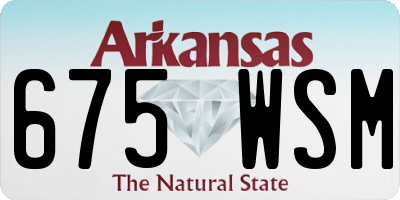 AR license plate 675WSM