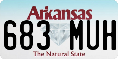 AR license plate 683MUH