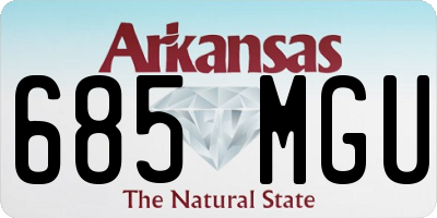 AR license plate 685MGU