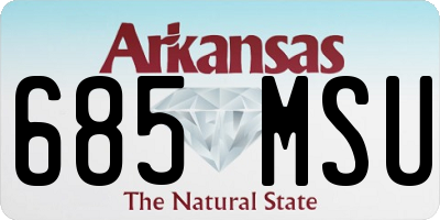 AR license plate 685MSU