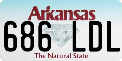 AR license plate 686LDL