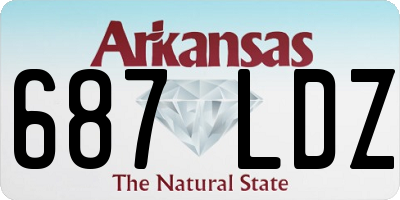 AR license plate 687LDZ