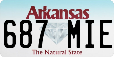 AR license plate 687MIE