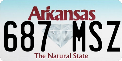 AR license plate 687MSZ
