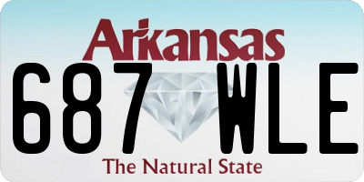 AR license plate 687WLE