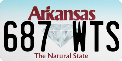 AR license plate 687WTS
