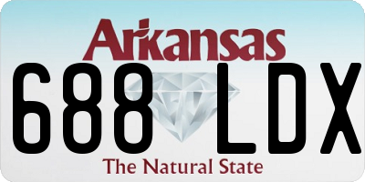 AR license plate 688LDX