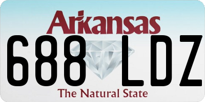 AR license plate 688LDZ