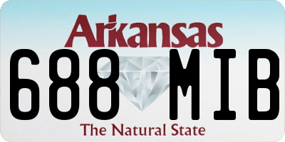 AR license plate 688MIB