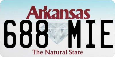AR license plate 688MIE