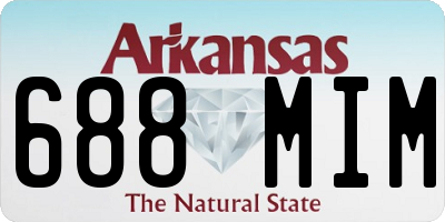 AR license plate 688MIM