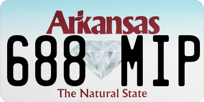 AR license plate 688MIP