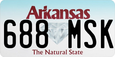 AR license plate 688MSK