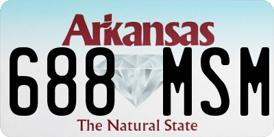 AR license plate 688MSM