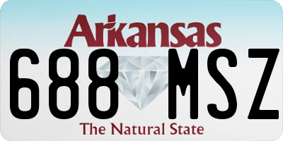 AR license plate 688MSZ