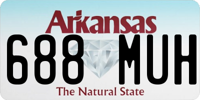 AR license plate 688MUH