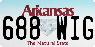 AR license plate 688WIG