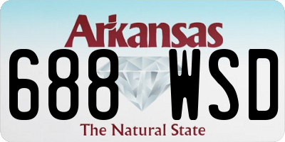 AR license plate 688WSD