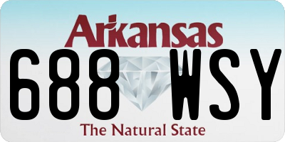 AR license plate 688WSY