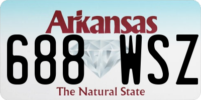 AR license plate 688WSZ