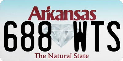 AR license plate 688WTS
