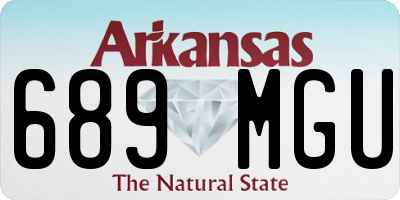 AR license plate 689MGU