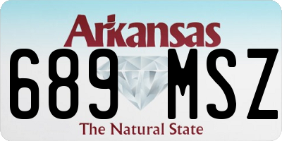 AR license plate 689MSZ