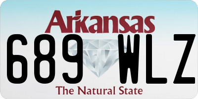 AR license plate 689WLZ
