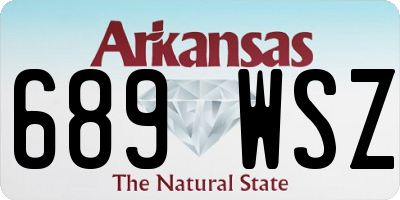 AR license plate 689WSZ