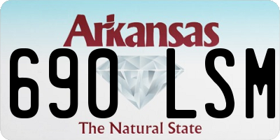 AR license plate 690LSM