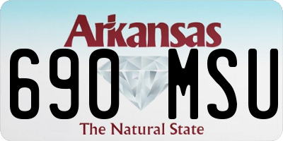 AR license plate 690MSU