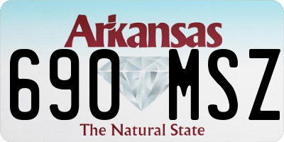 AR license plate 690MSZ