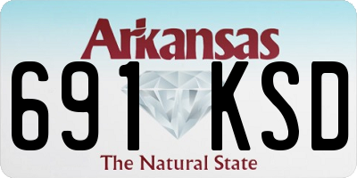 AR license plate 691KSD